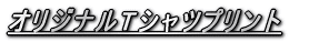 �`�[���v���[�g 